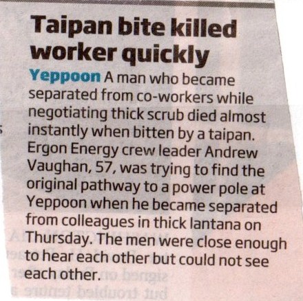 Taipan Bite