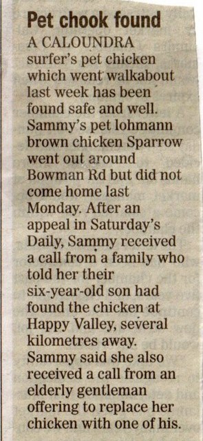 Pet chook found