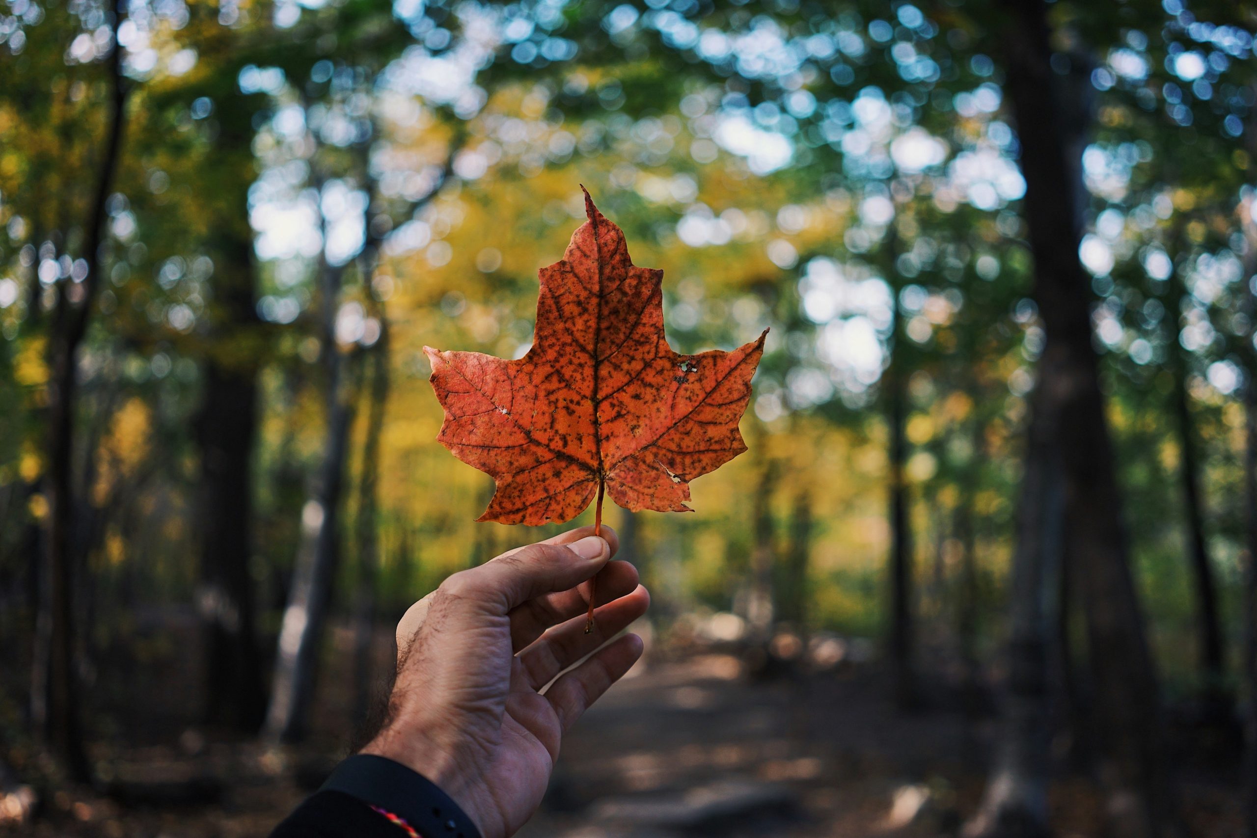 Adventure is at the heart and soul of Canada and awaits around every corner.