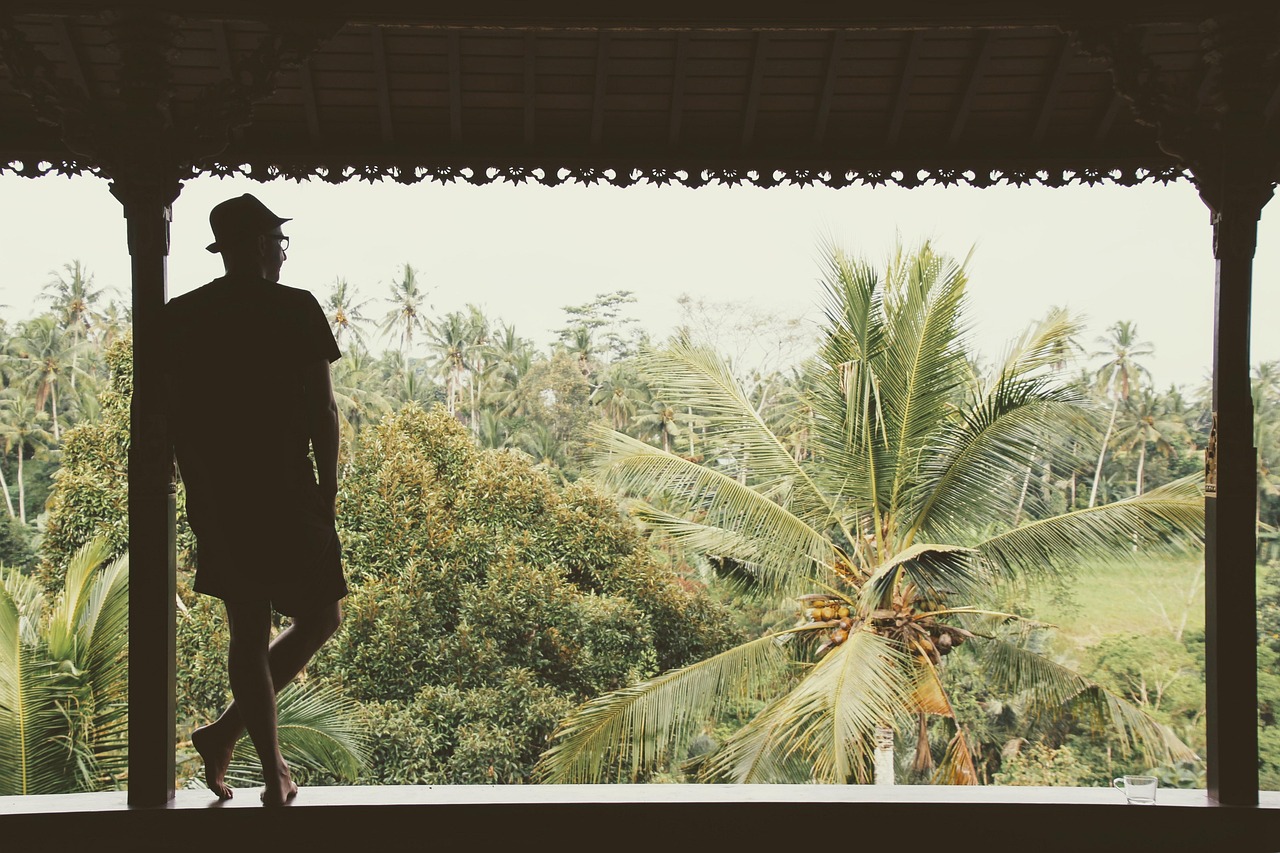 Viewpoint of tropical greenery in Ubud, Bali